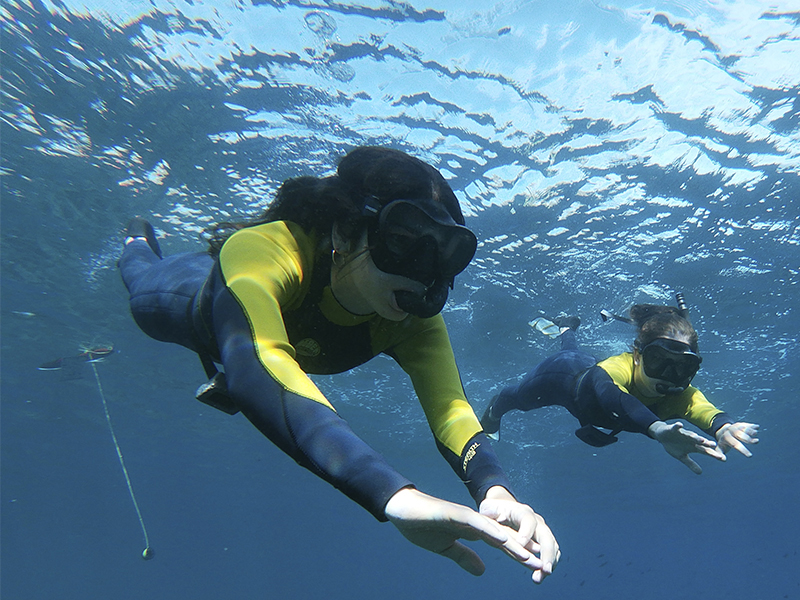 Submarinismo, Buceo y Snorkel en Cabo de Gata